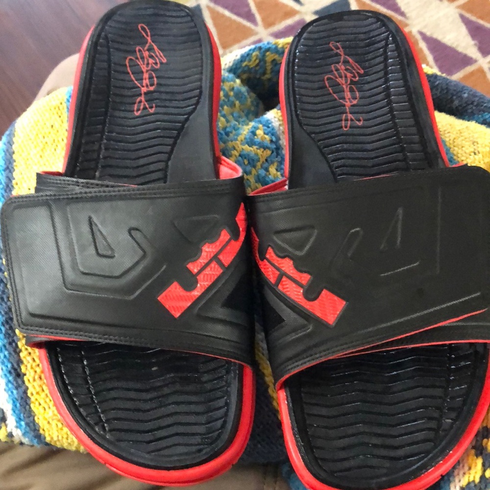 Lebron James Nike Slides Sandals King Lion Mens